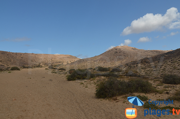 Dunes around the beach of Congrio - Canary Islands - Lanzarote